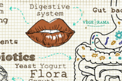 Gut-Health-Probiotics-Fermented-Foods-Vege-Rama-Blog